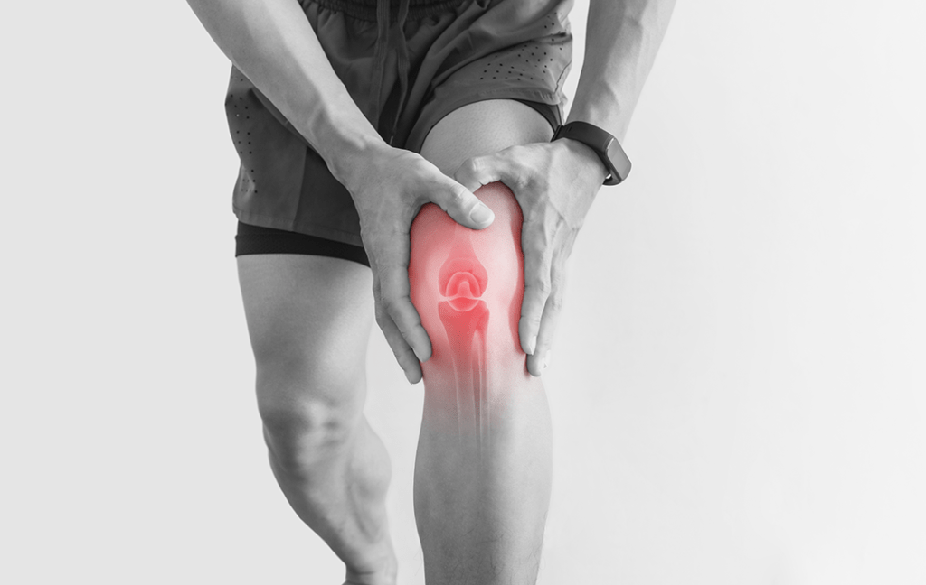 ligamento